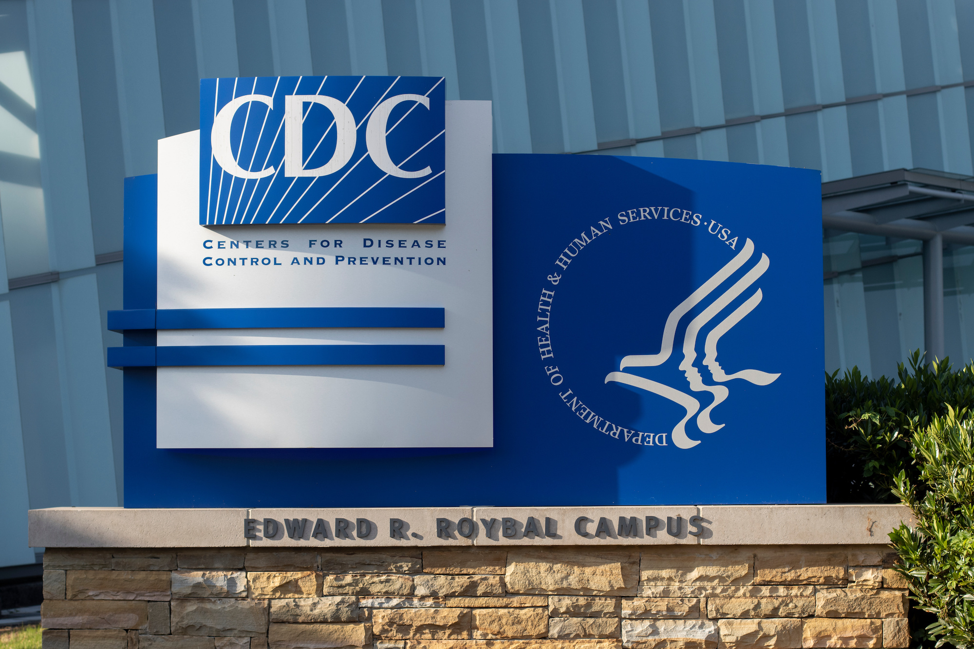 CDC